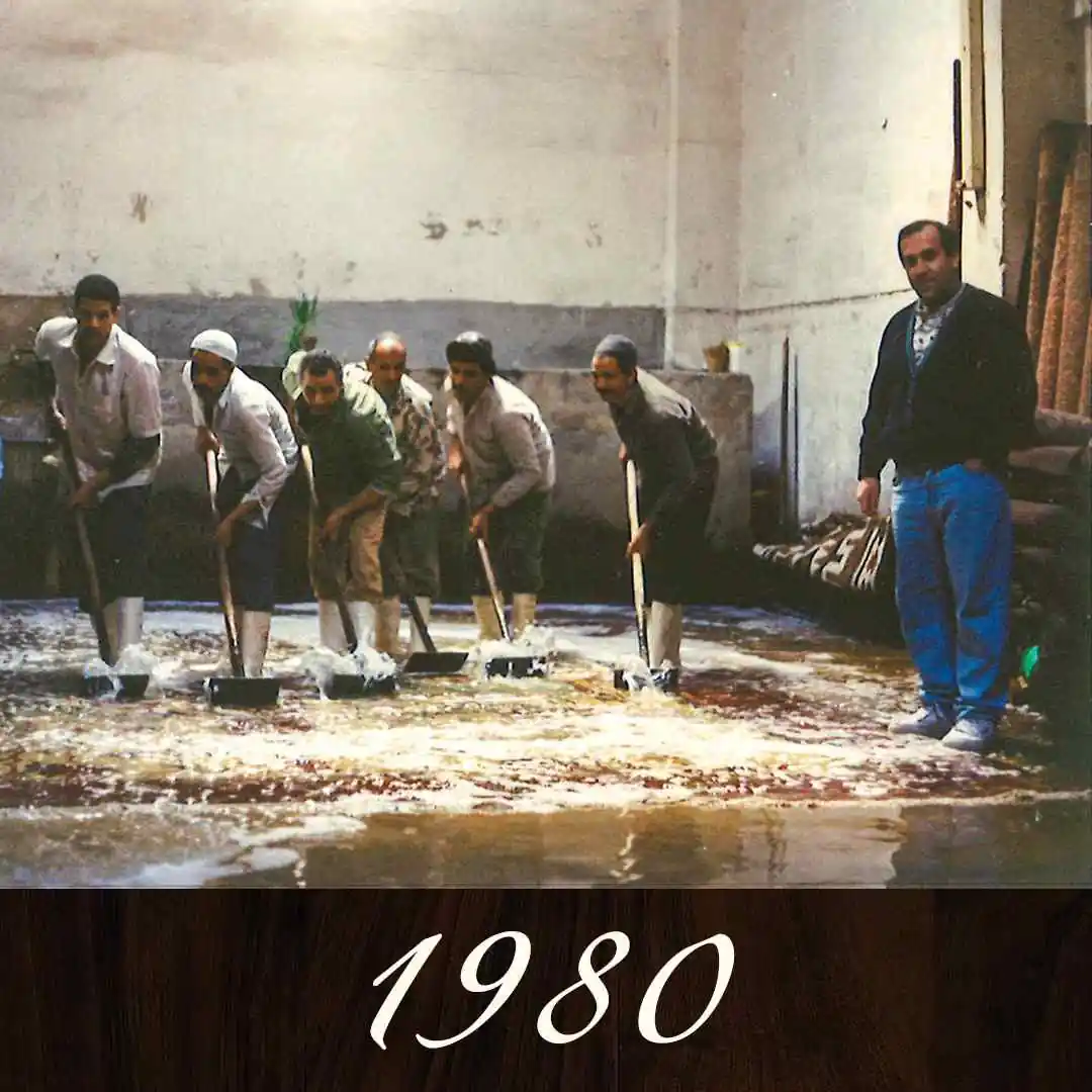 Best Methods for How to Get Dog Pee Smell Out of Couches 11