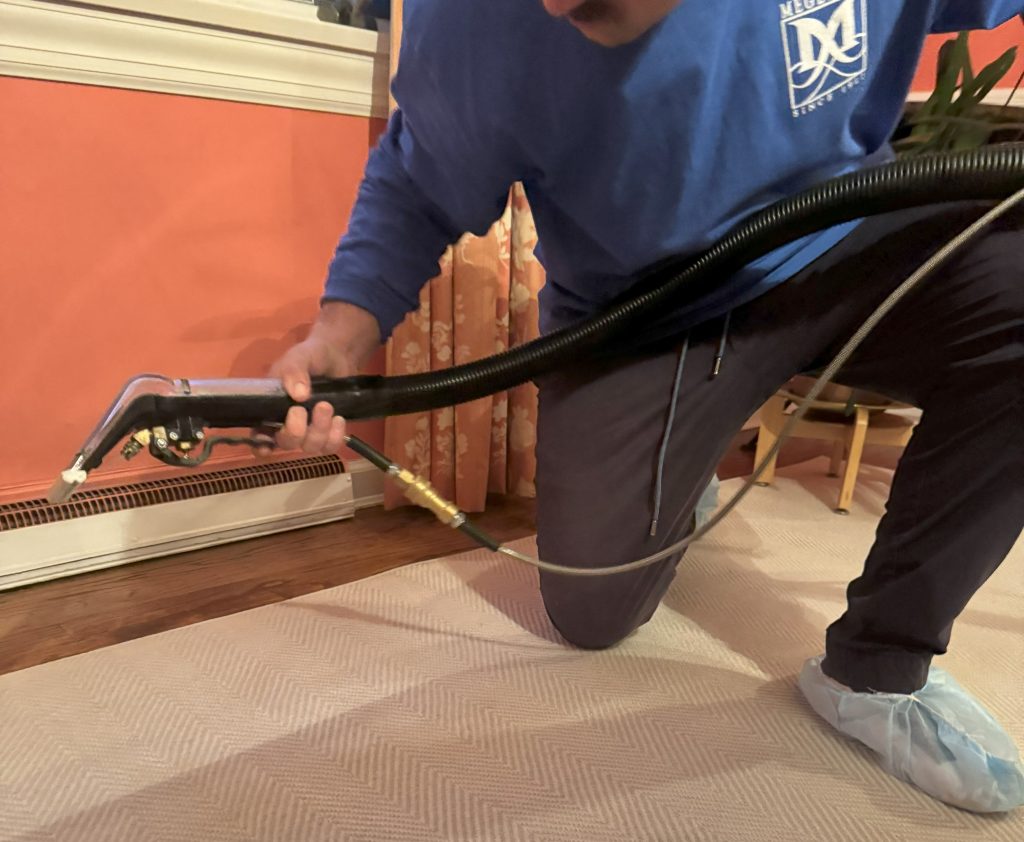 Carpet & Rug Mold & Mildew Remediation