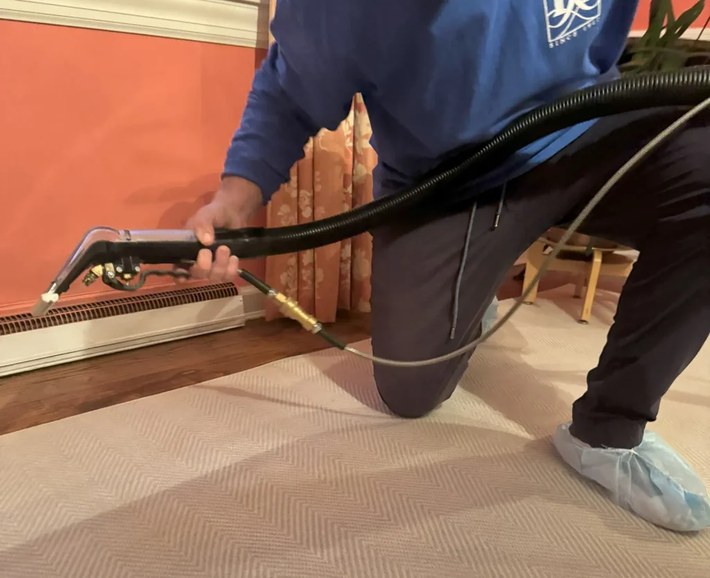 A professional carpet cleaner using equipment to clean a carpet in a Long Island home, showcasing effective cleaning techniques.