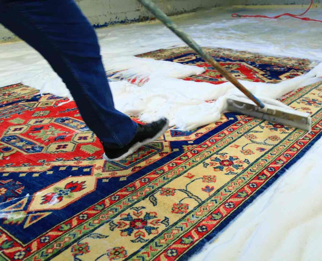 A carpet cleaning expert focused on removing pet stains and odors, highlighting professional cleaning methods and tools.