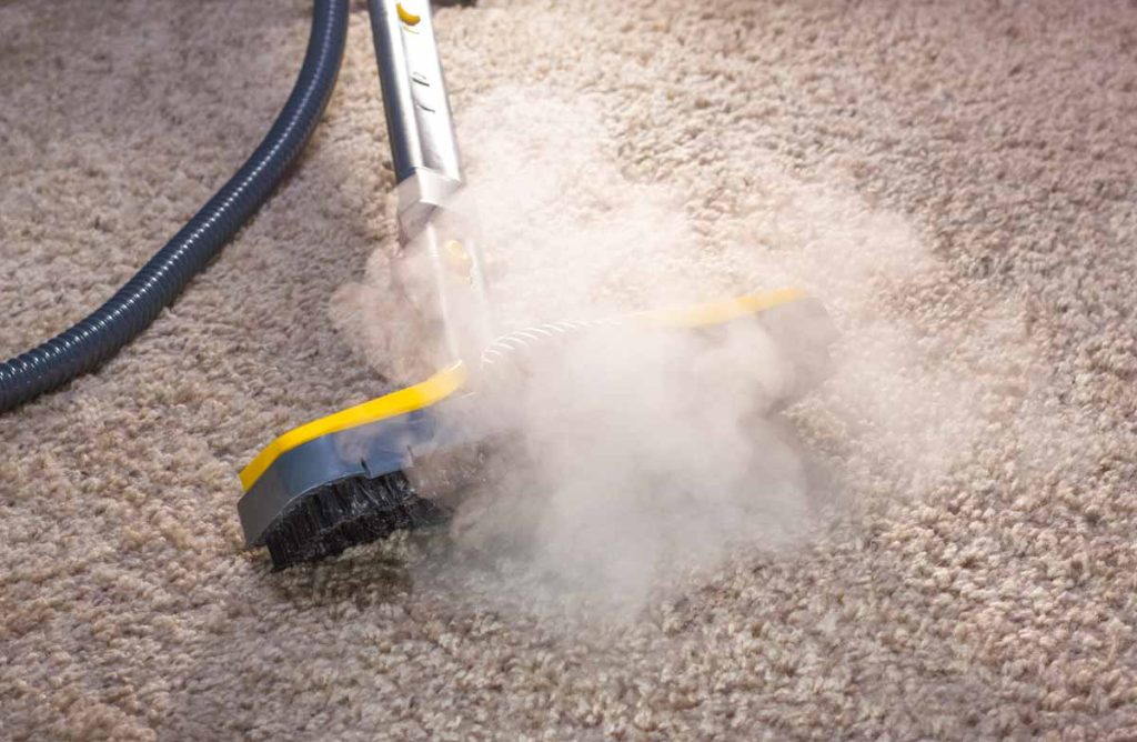 A professional steam cleaner removing pet odors and stains from a carpet, showcasing carpet cleaner for pet urine