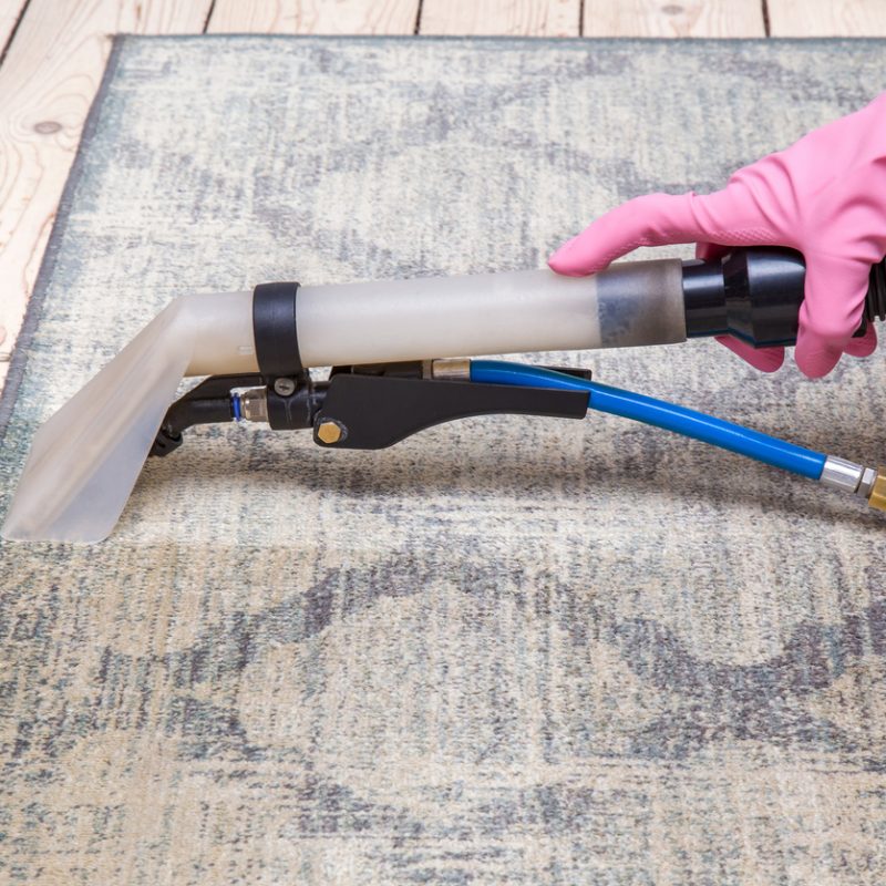 Carpets chemical cleaning with professionally extraction method. Early spring cleaning or regular clean up.