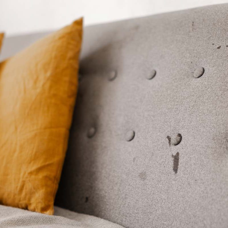 stained-couch-upholstery-protection-reasons